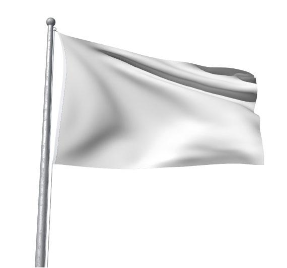 Flag-Mockup-01 Flag-Mockup-01